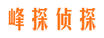 宁陵市侦探公司